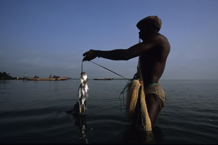 L’archipel des Bijagos, 88 îles à la biodiversité foisonnante