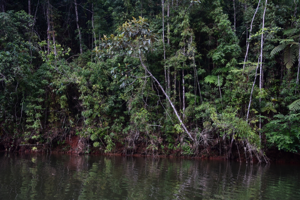 Rio Juquiá, Legado das Aguas, Sao Paulo State