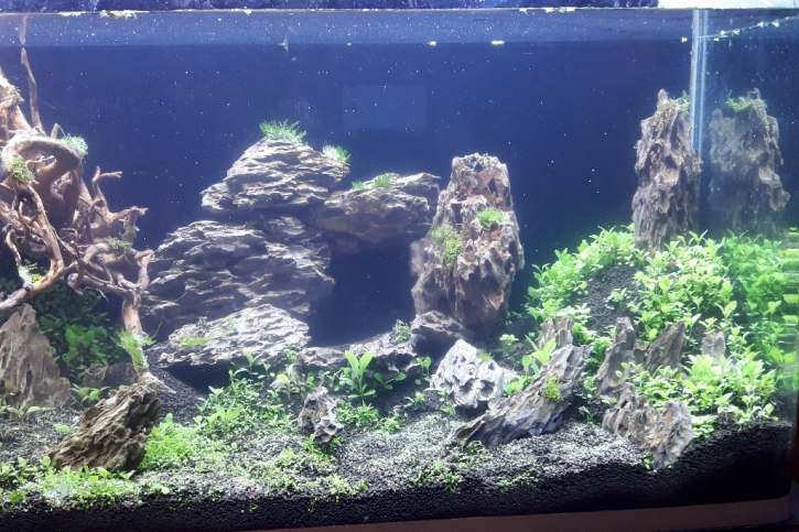 aquascaque