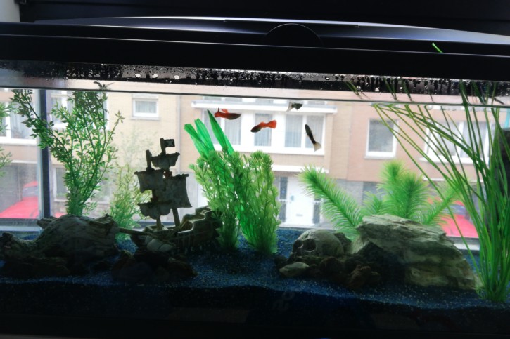 Kids Room
