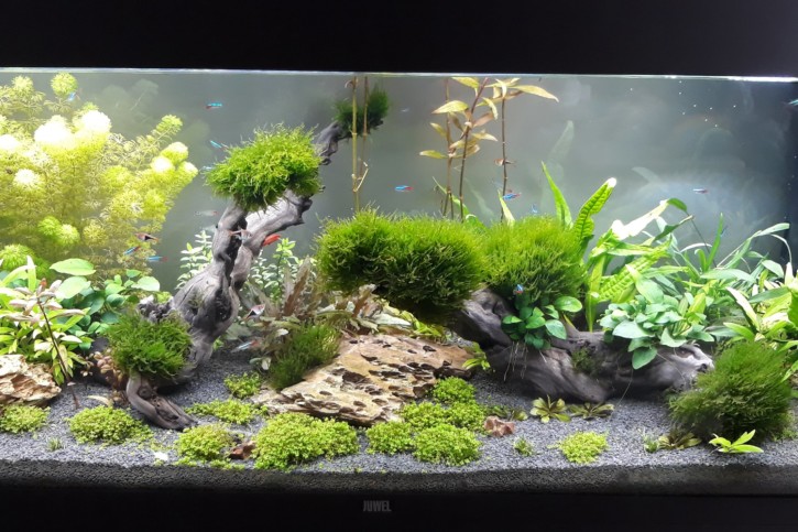 Aquarium
