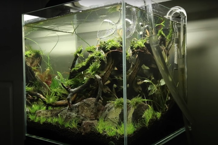 Nano aquarium