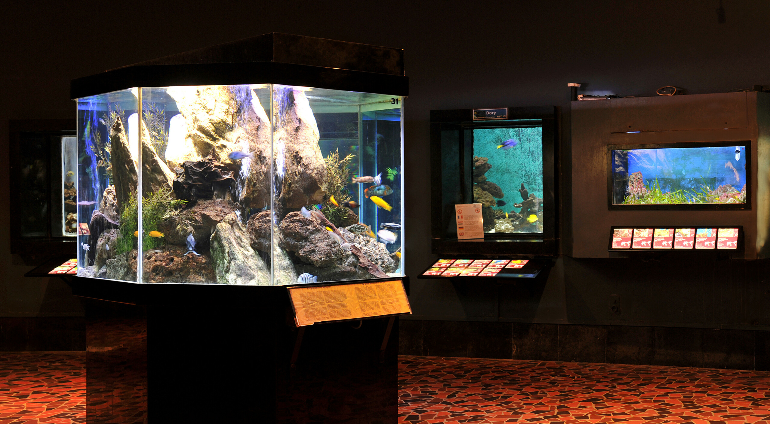 museumList