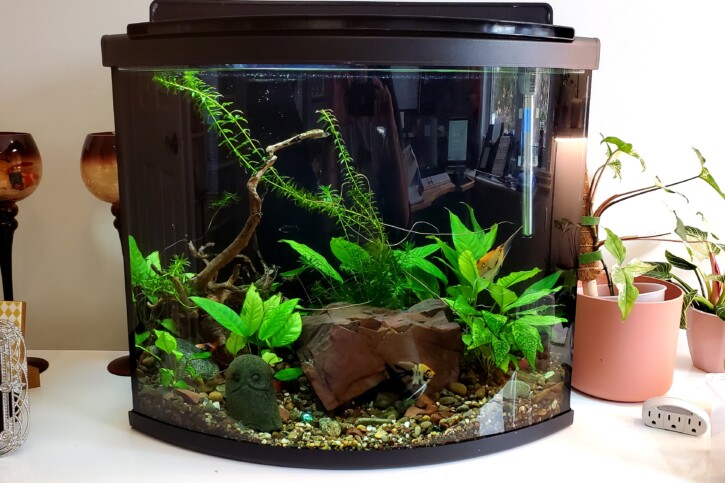Fluval 26