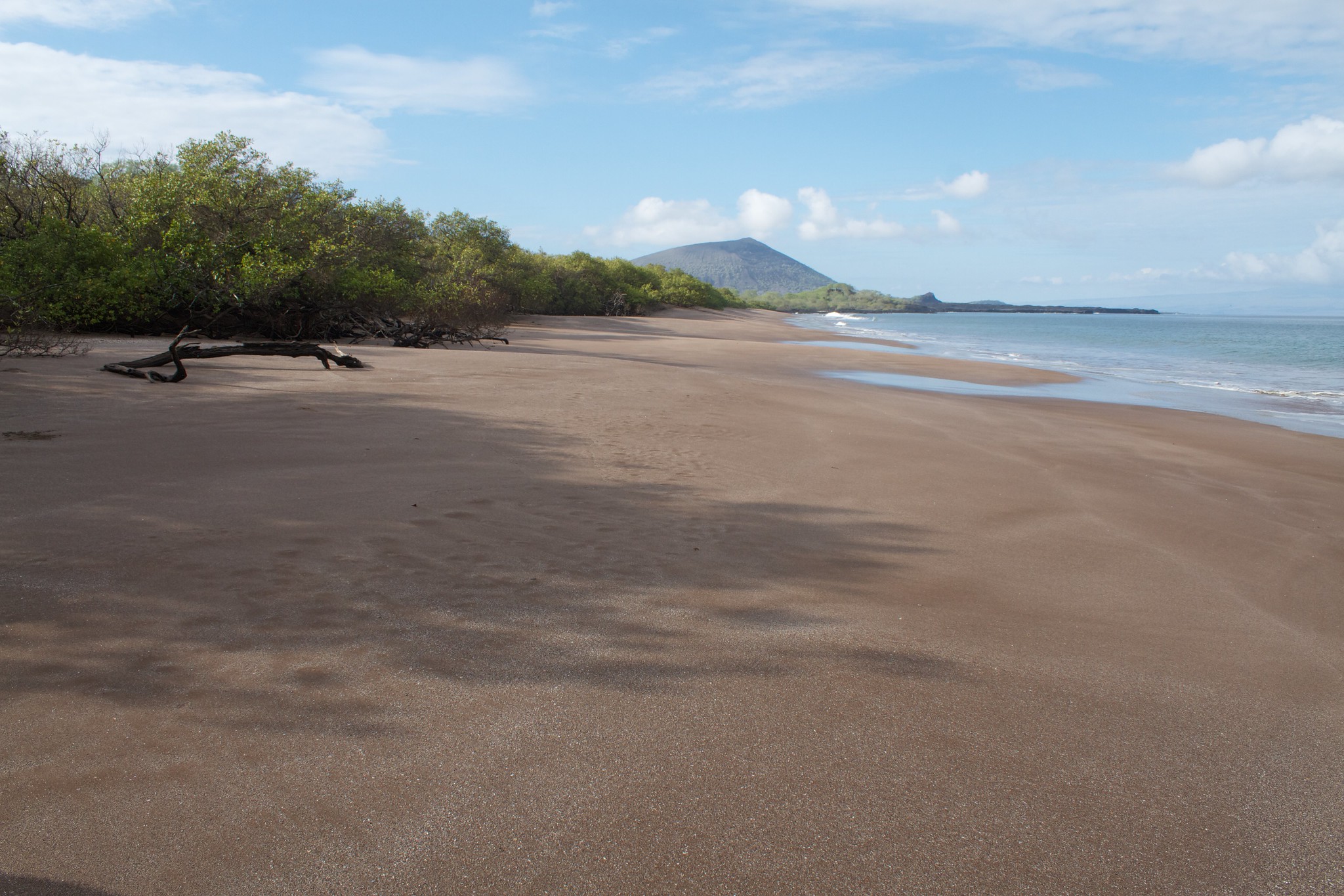 Océan Pacifique Galapagos