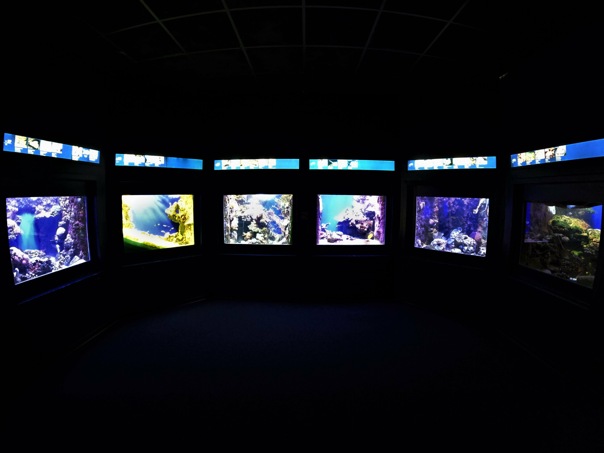 museumList