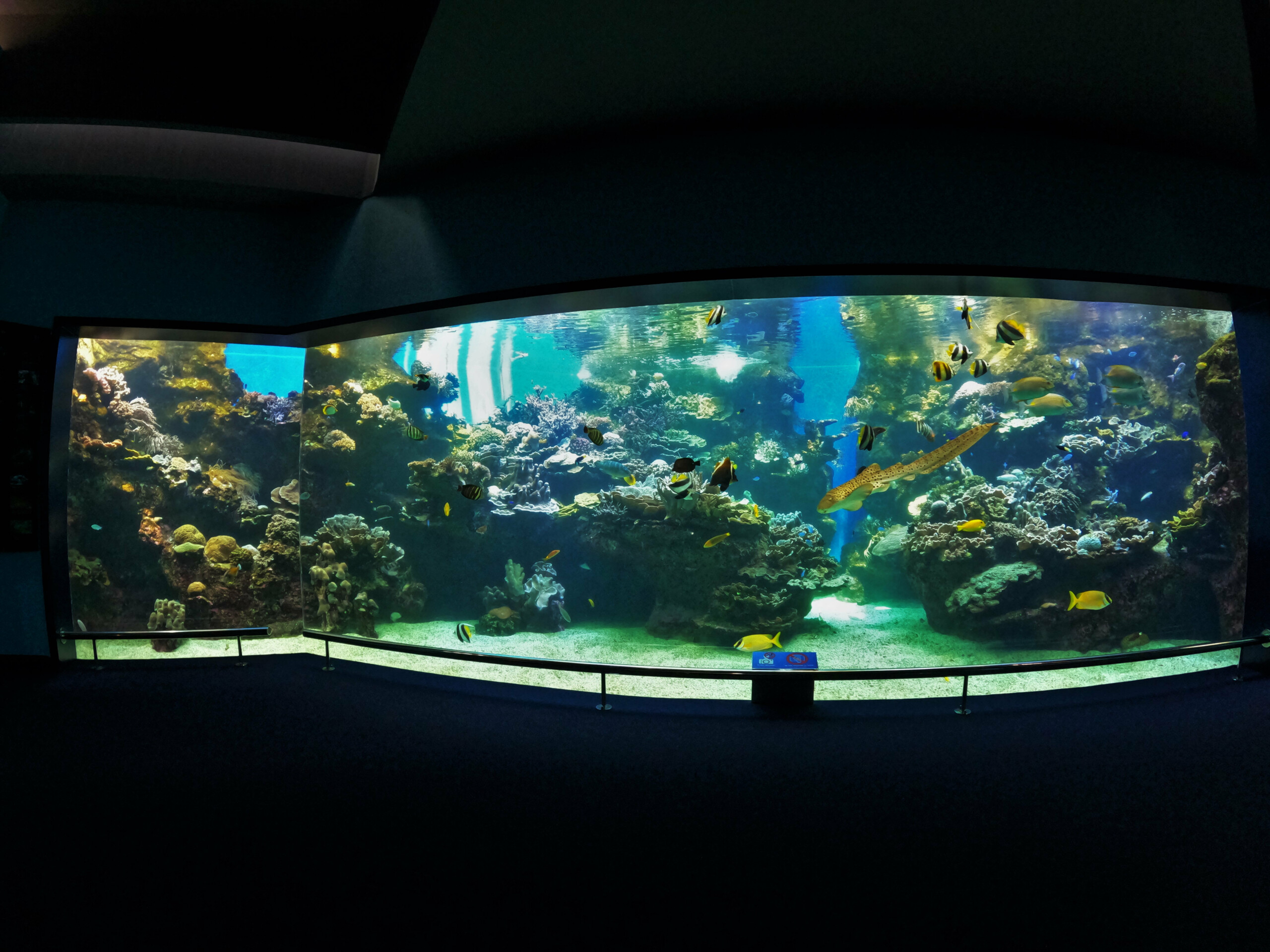 museumList