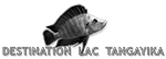 logo Tanganyika
