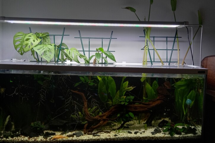 Mon premier désirant faire dans le style Amérique central ou sud