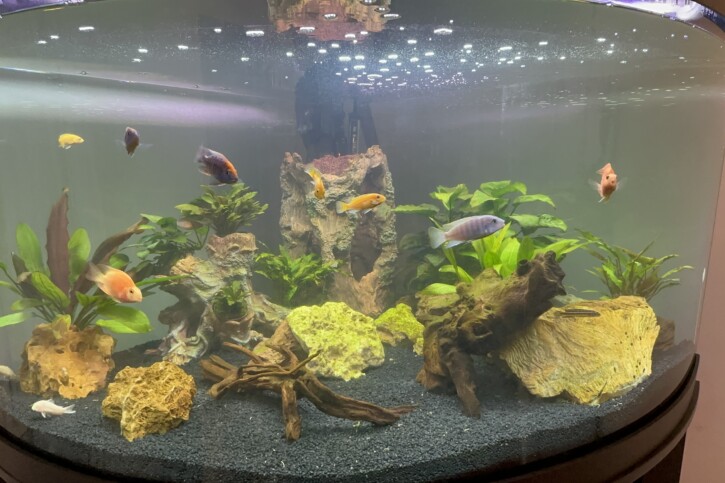 Juwel Trigon 350