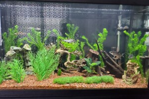 fluval shaker
