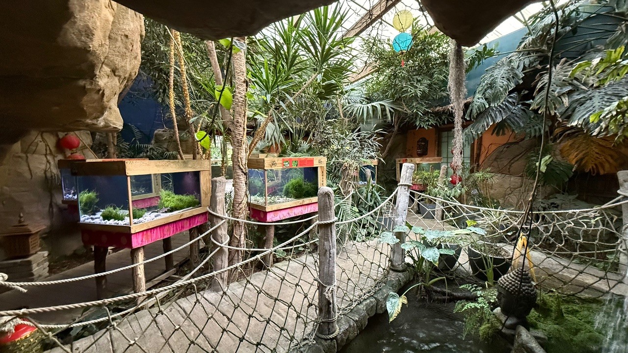 museumList