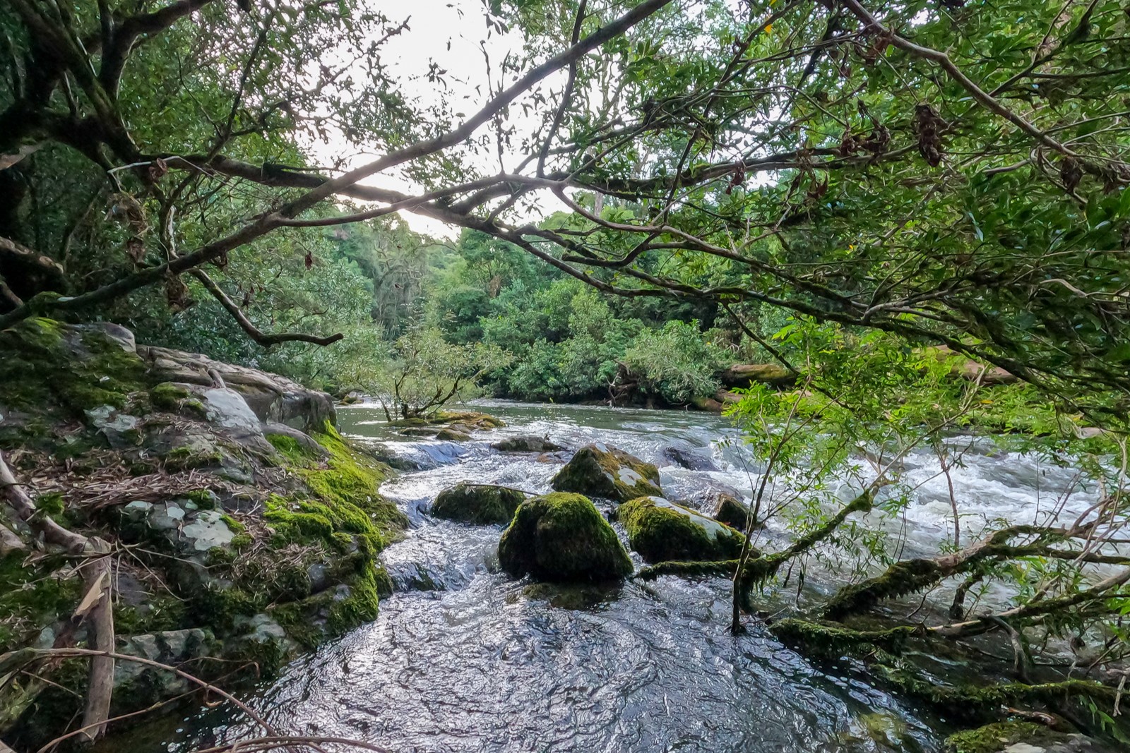 Riviere parc Misiones