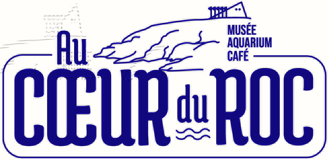 logo Au coeur du Roc