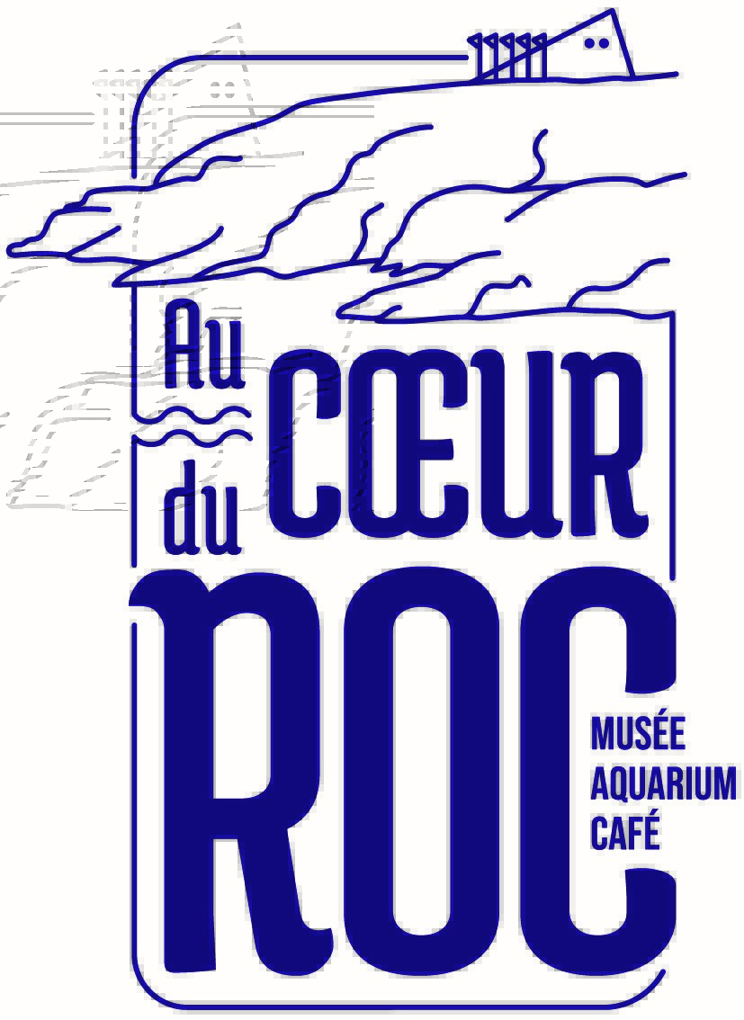 logo Au coeur du Roc